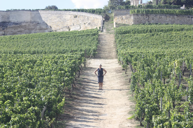 CC running into the grapevines.