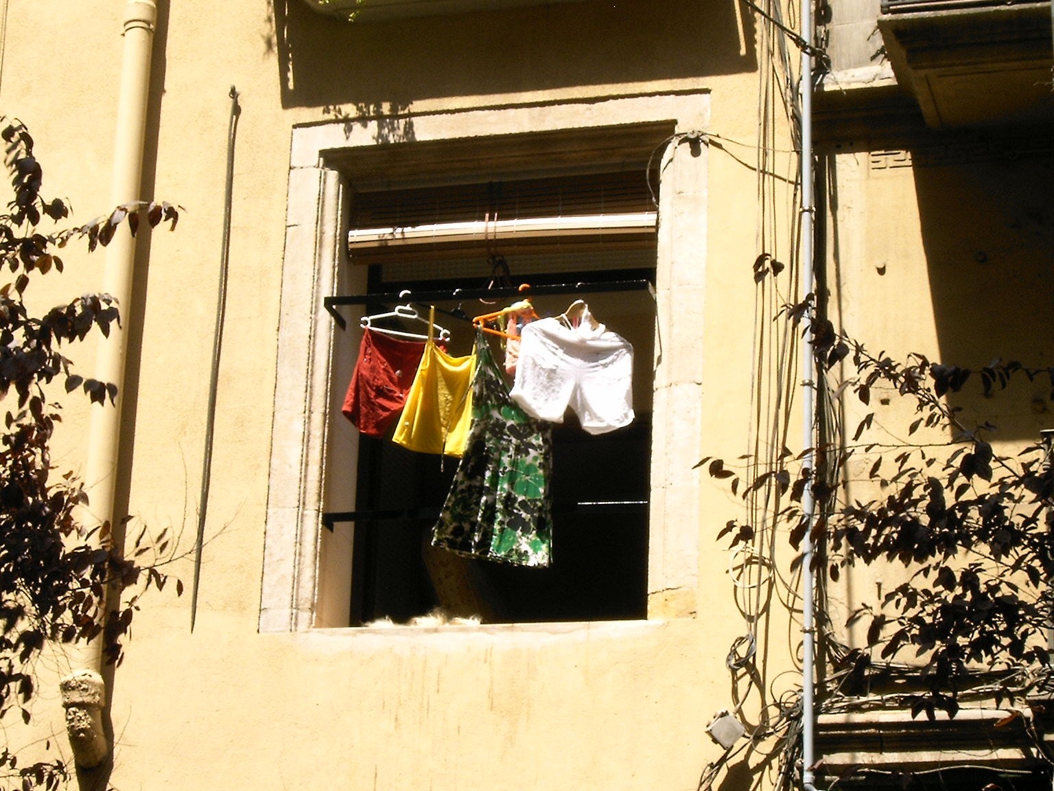 [IMAG0340.JPG]