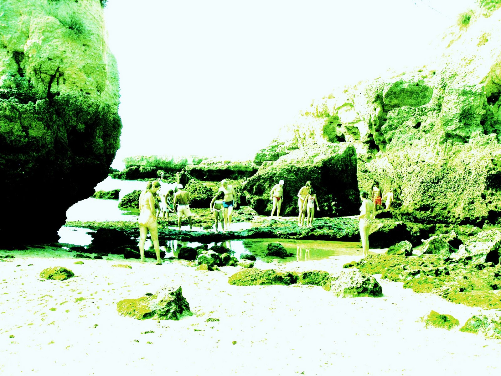 [IMAG0413.JPG]