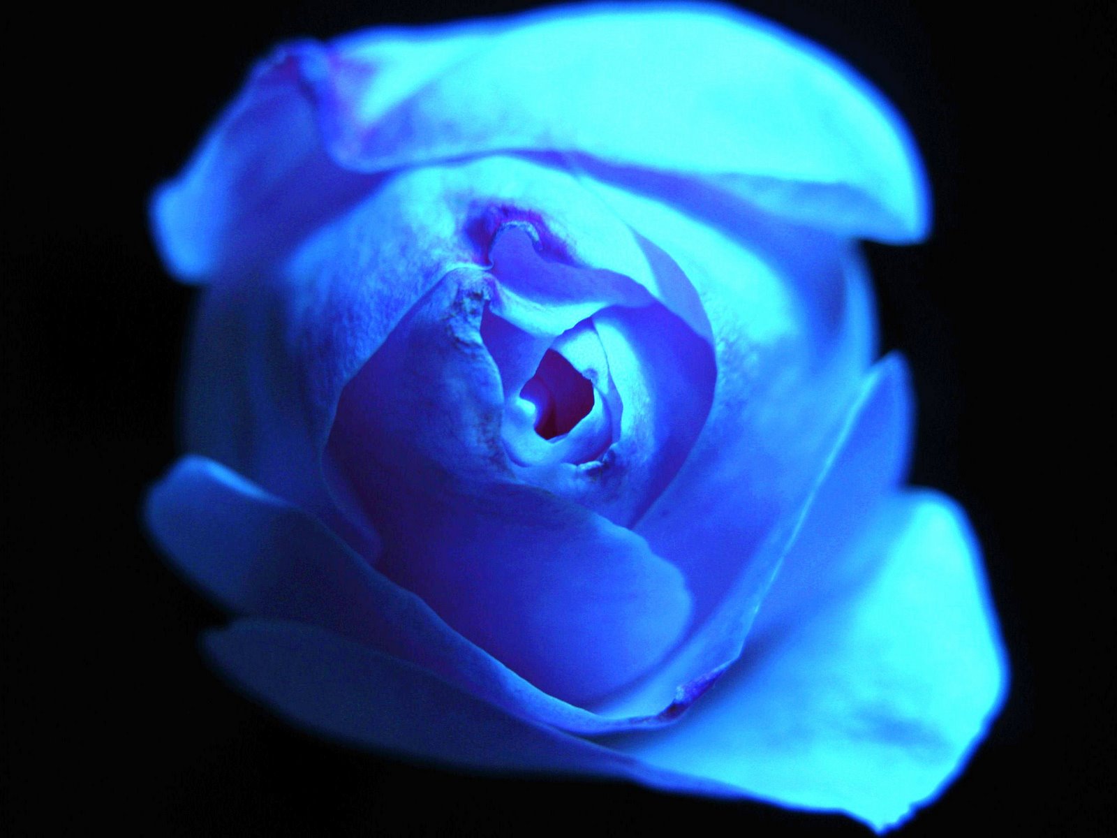 [IMG_0368.JPG]