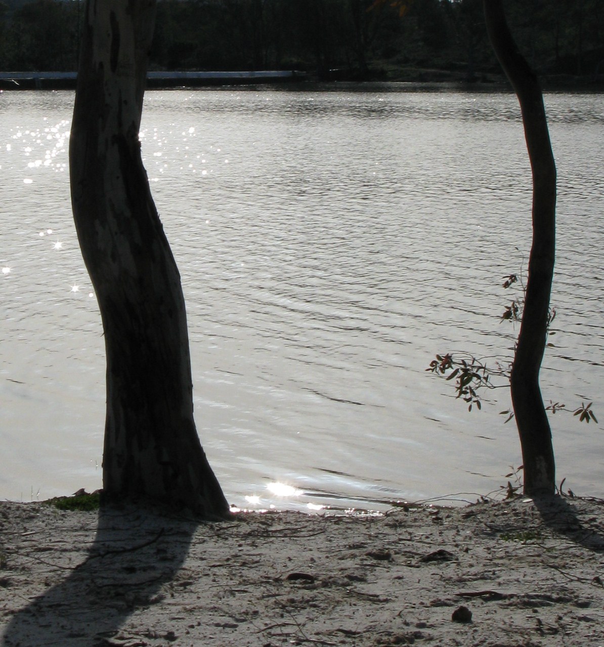 [IMG_0016.JPG]