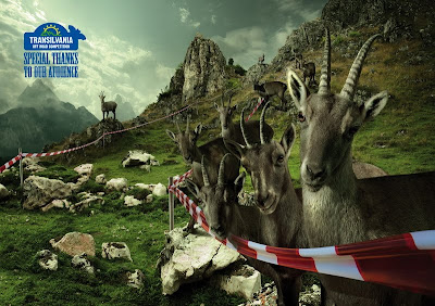 Animal Theme Ad Seen On www.coolpicturegallery.us Animal Theme Ad Seen On www.coolpicturegallery.us