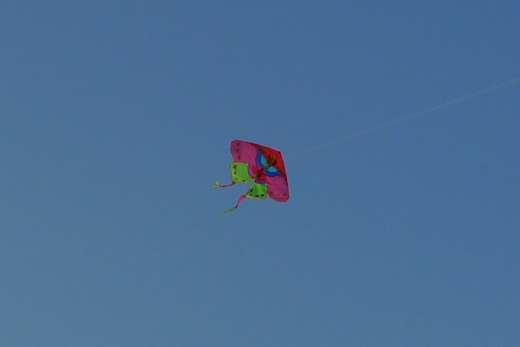Edison Kite