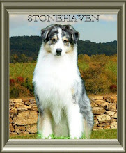 STONEHAVEN FARM WEBSITE