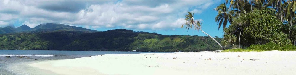 BOUT DE VIE A TAHITI