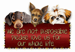 "being left behind is the saddest feeling a dog can have, so how about adopting one some day"