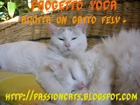 [TG+copia.jpg]