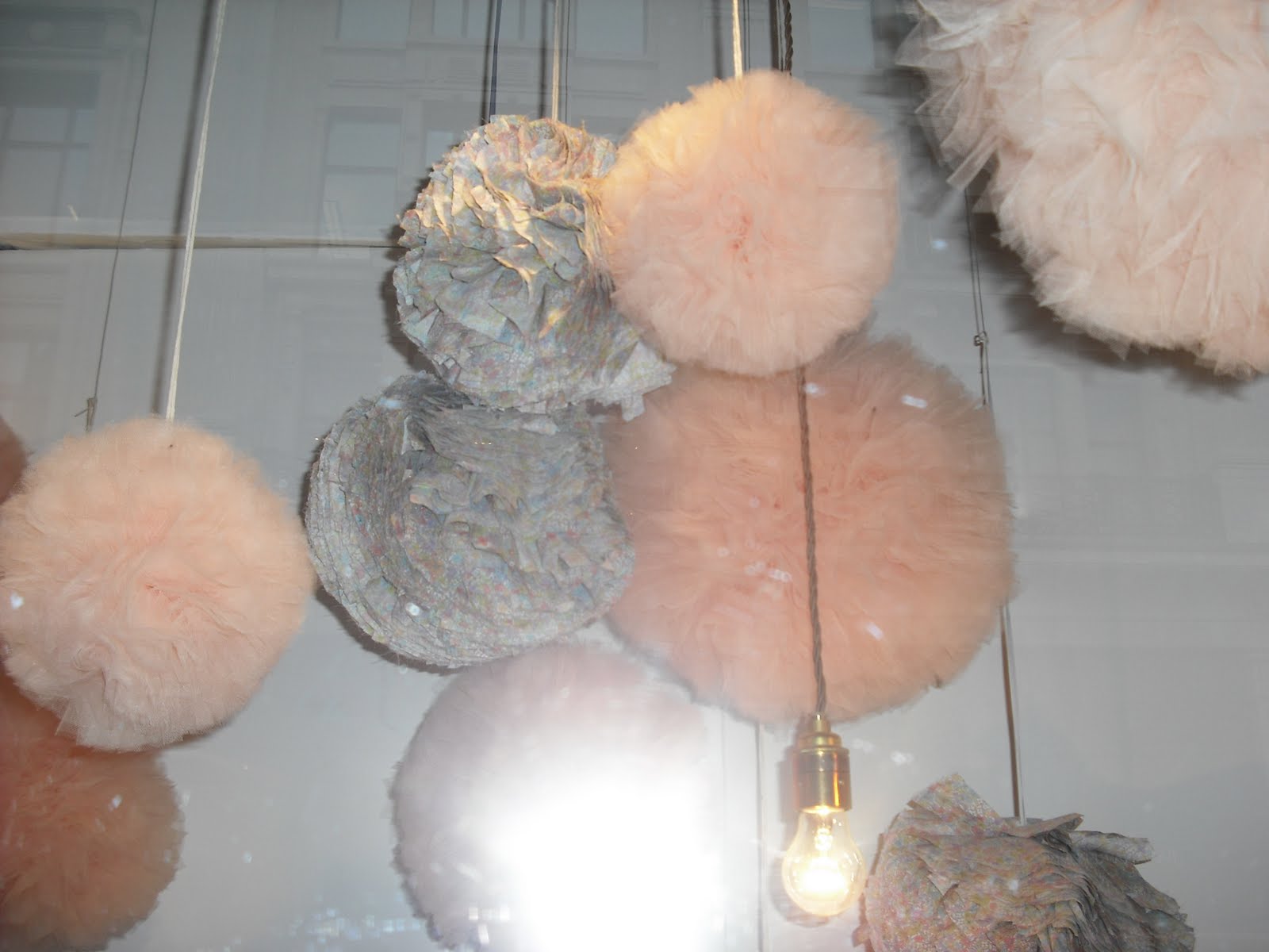 [DSCF1098.JPG]