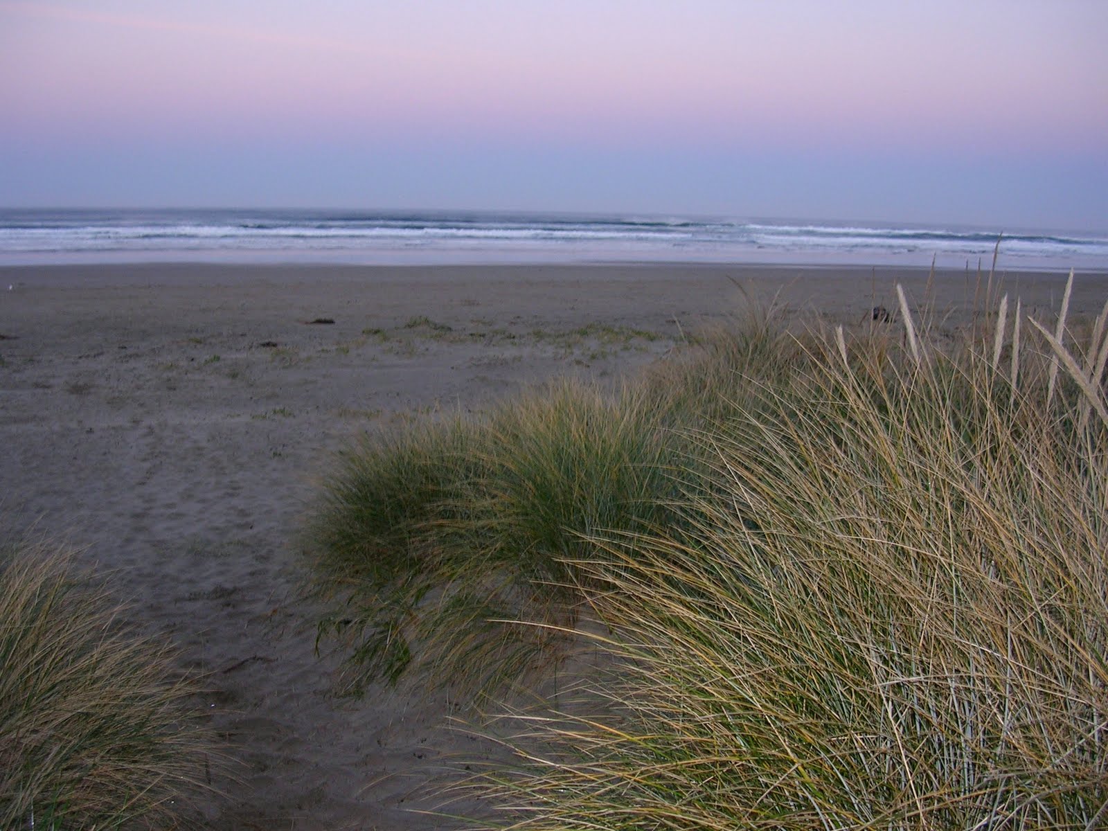 [Manzanita+Beach.JPG]