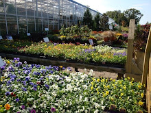 22,500 sq ft Glass Green House & Gift Center