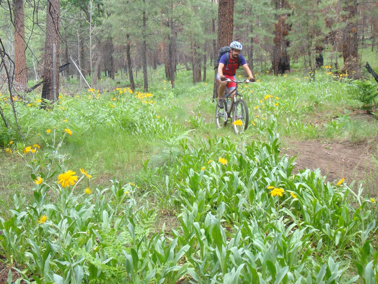 Climbing in elevation making