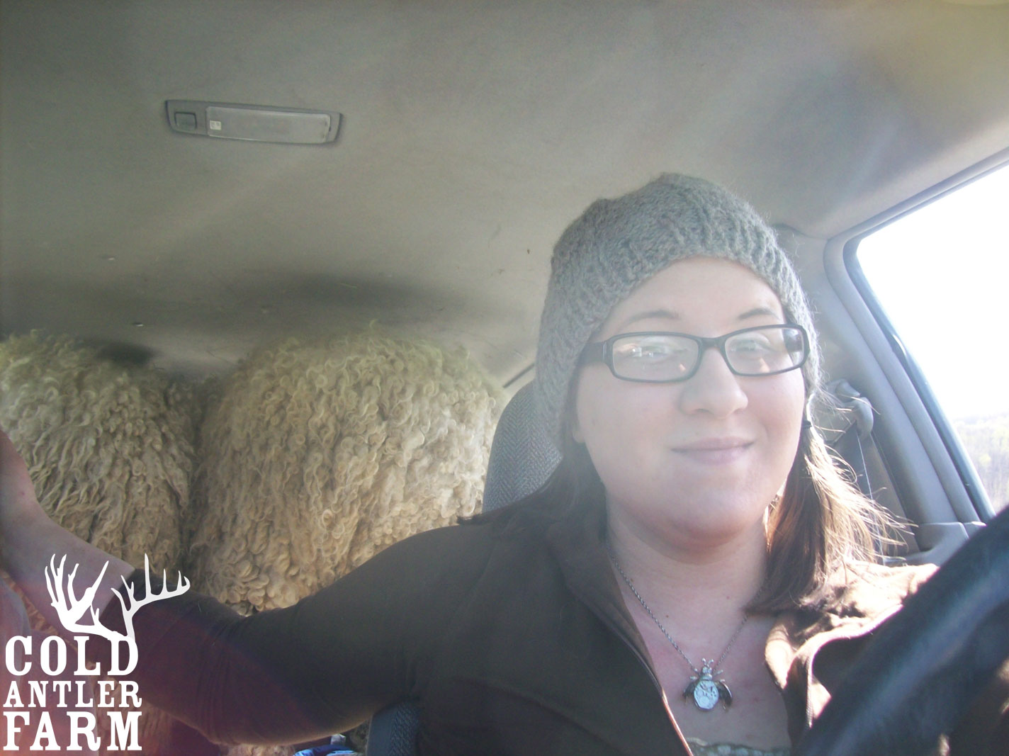 coldantlerfarm.blogspo... coldantlerfarm.blogspo...