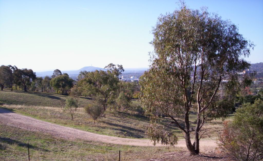 Exploring Canberra Mount Taylor