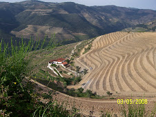 Quinta da Gricha