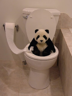 http://3.bp.blogspot.com/_G3Yh8LNSELw/SWvnfmP39cI/AAAAAAAABPM/m4qvSJzF5Sg/s320/Panda+on+toilet.jpg