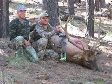 2008 Archery Elk