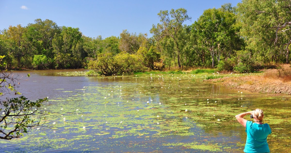 The Boondockers Lakefield NP Cape York