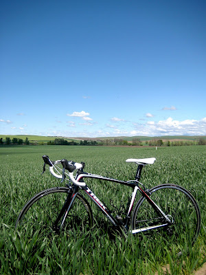 Hello, Trek Madone 5.1