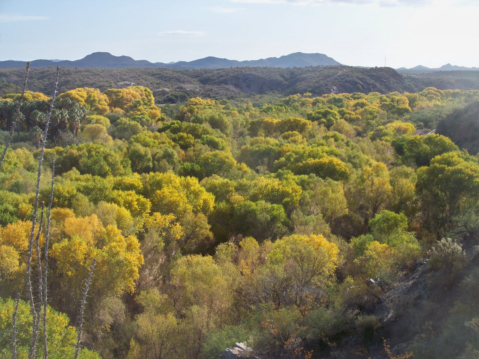 Darren's Rides Hassayampa River Preserve