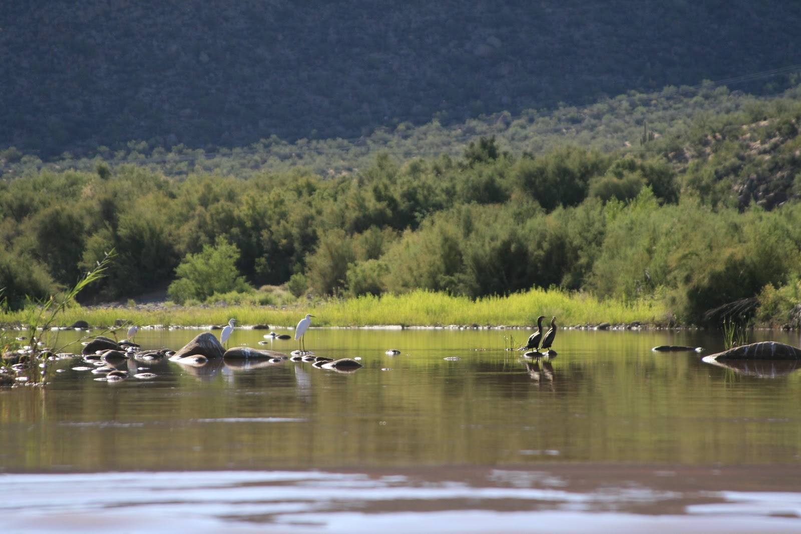 Darren's Rides Trip To Young AZ.