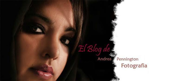 PENNINGTON  FOTOGRAFIA