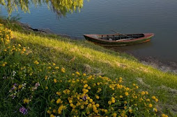 Primavera en Cayastá