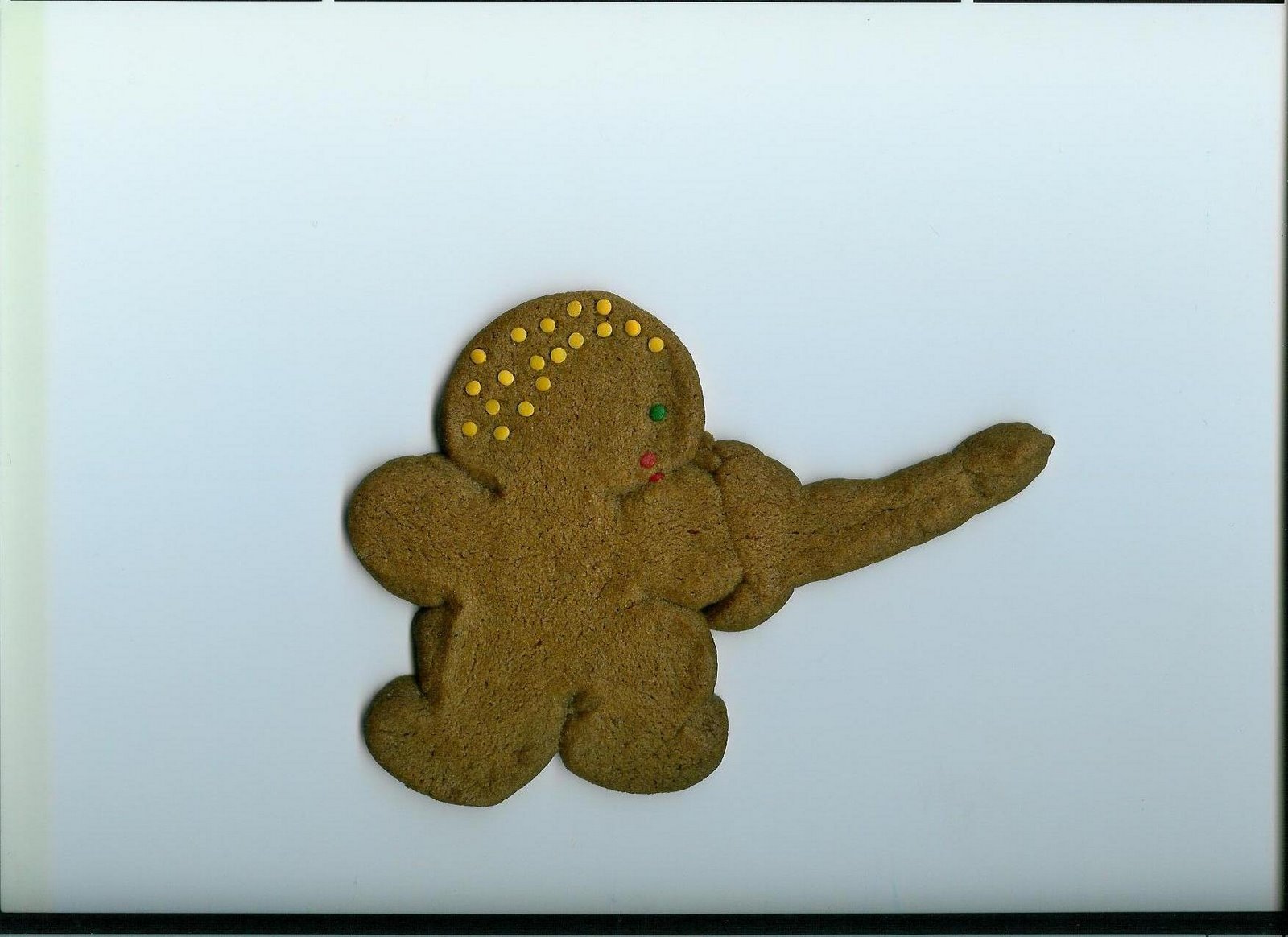 [holiday+cookie.jpg]