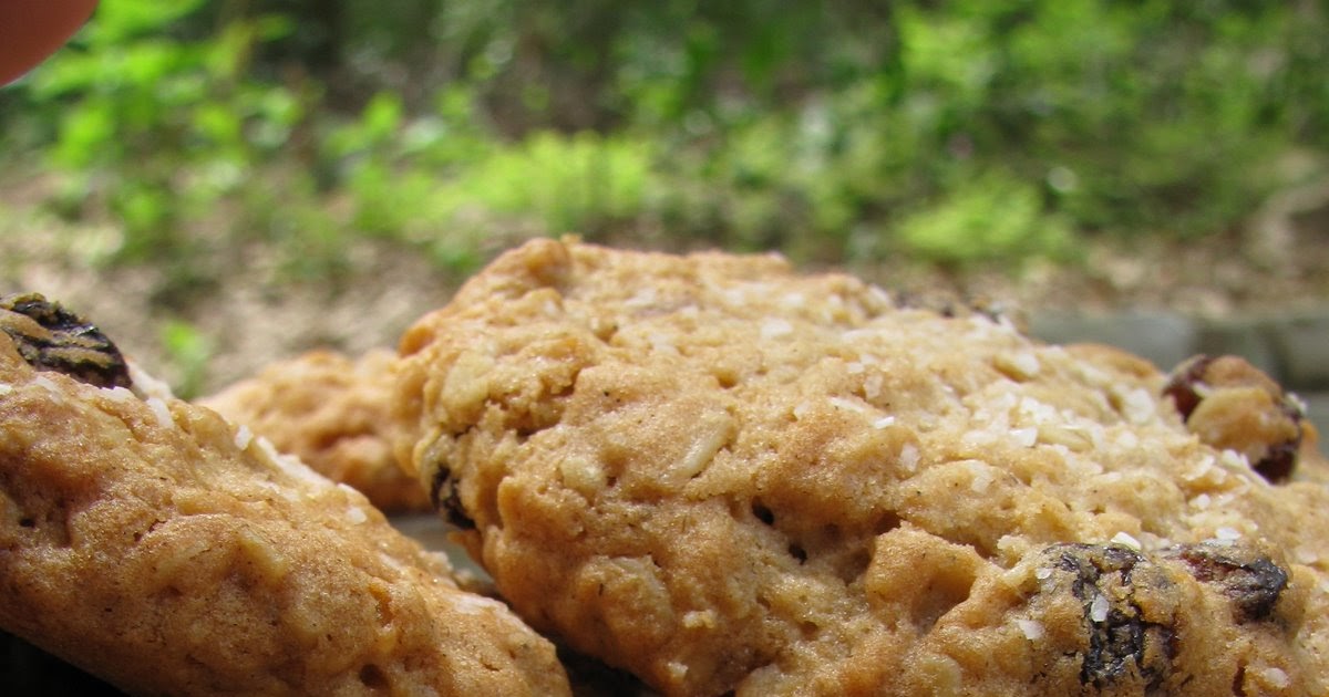 Sowing My Salty Oats