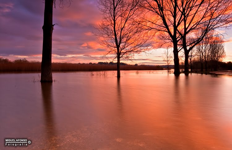 [1salusa+march+17.jpg]