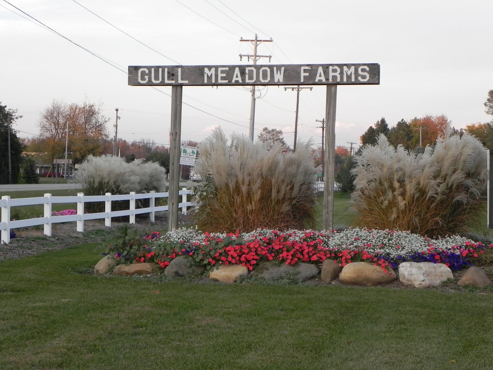 Bryan Bros Gull Meadow Farms