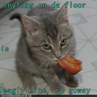 bacon+cat.jpg