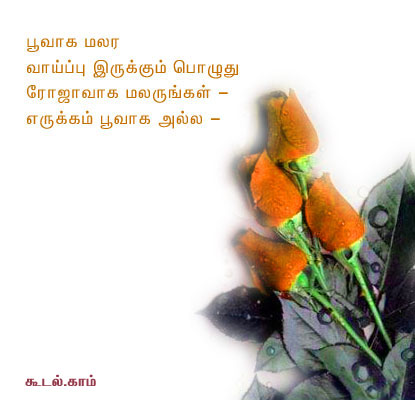 love poems in tamil language
