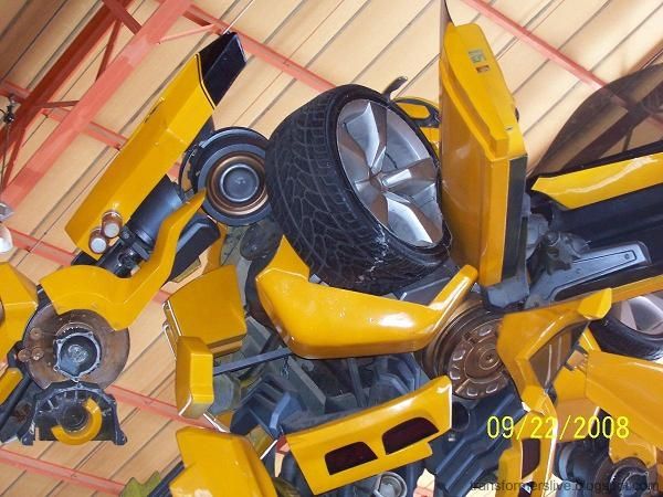 [NMBumblebeeRobot4.jpg]