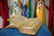 Libro de los Caños de Guadalupe