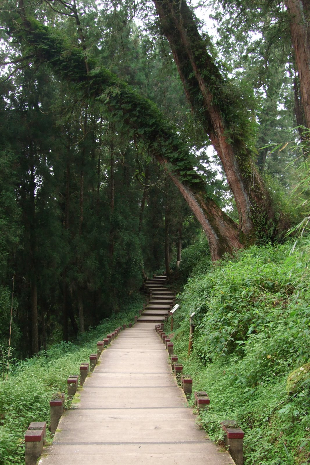 [DSCF0786.JPG]