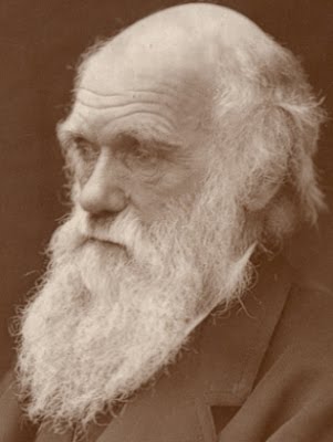[Darwin1874s.jpg]