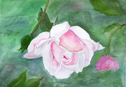 New Dawn Rose in Watercolor