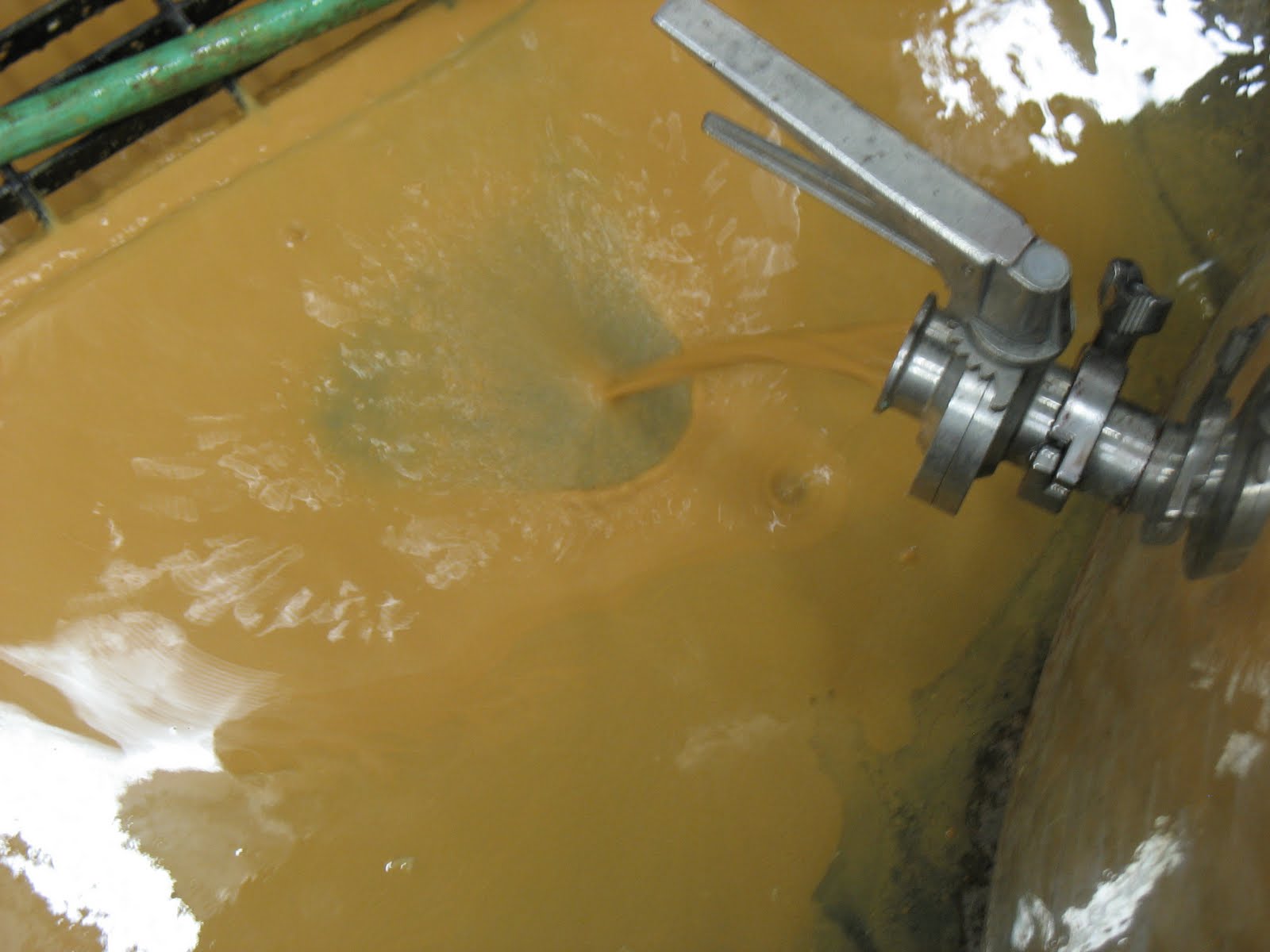 Wine Lees