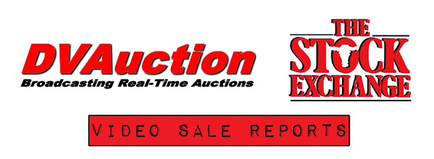 DV Auction & The Stock Exchange Video Sale Reports