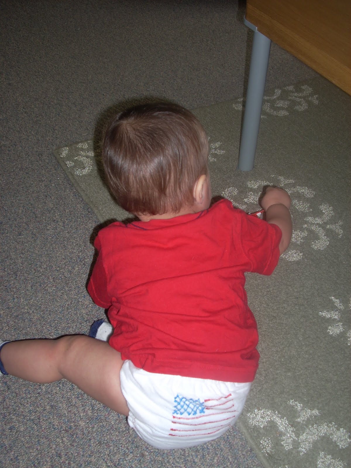 Cloth Diapering Chronicles of a Babywise Mom