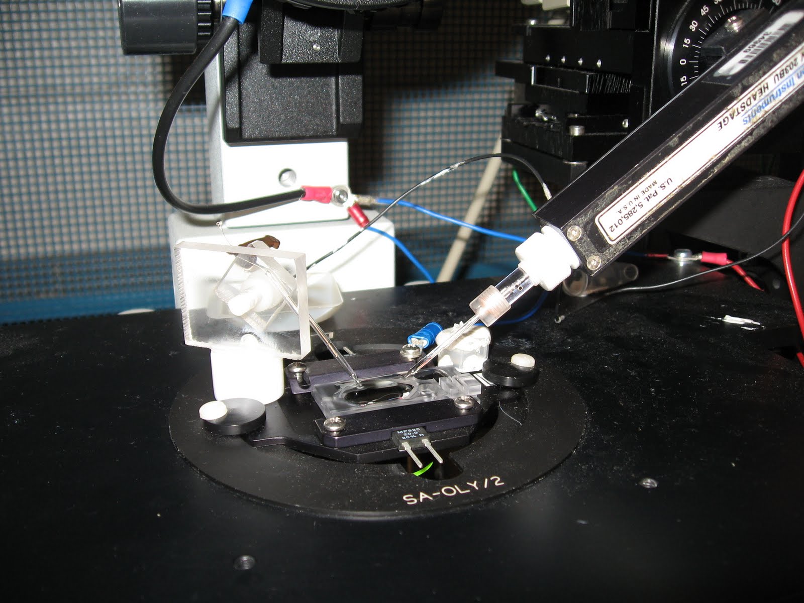 Pipette Offset Patch Clamp savvyfreeware
