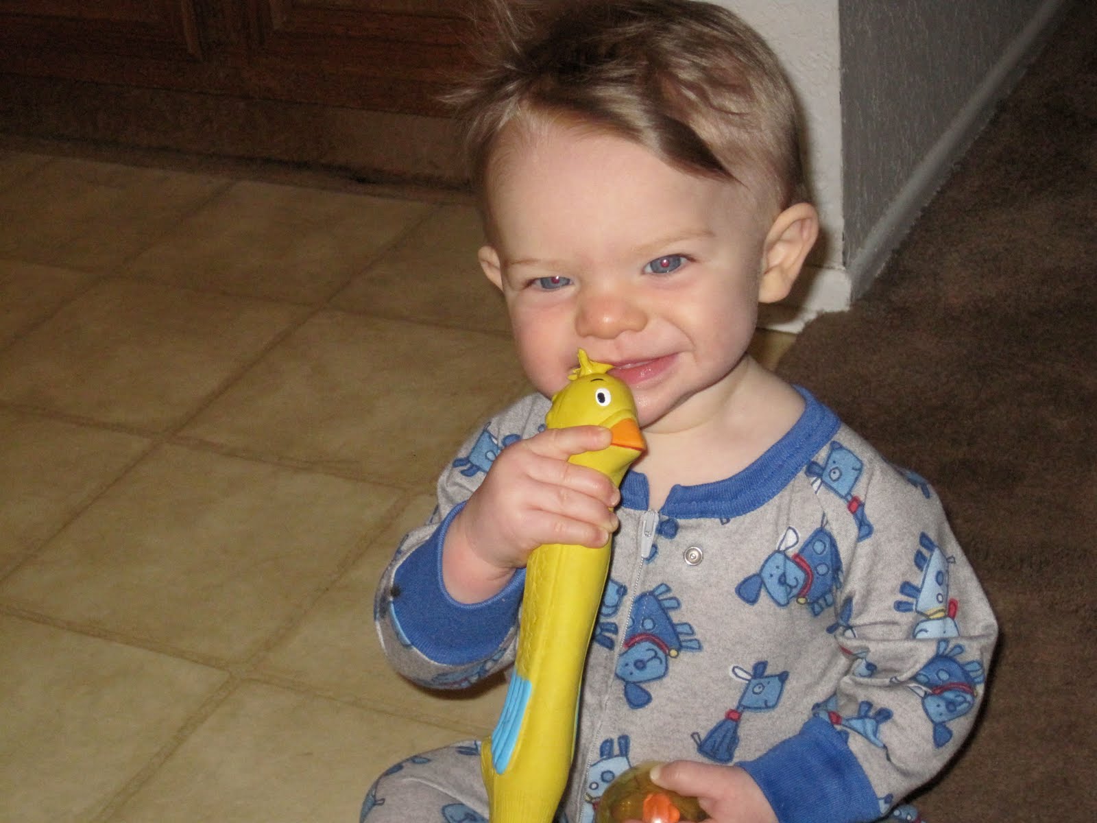 Lu Bird Baby Chew toy