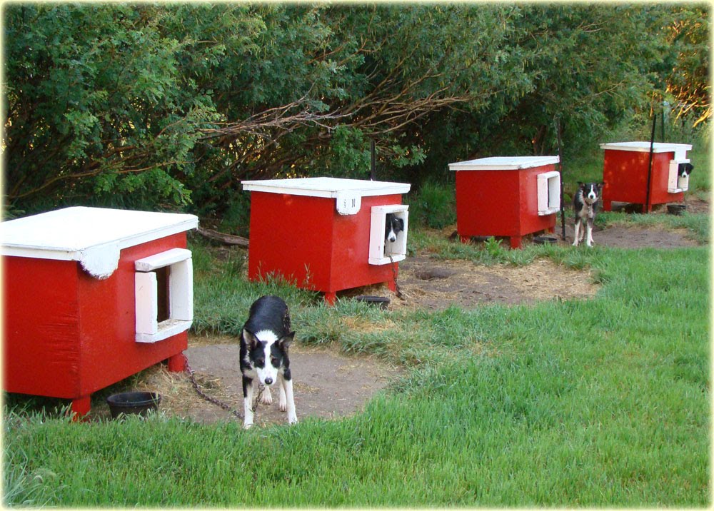 AltaPete Farm Tails Home, Sweet Home