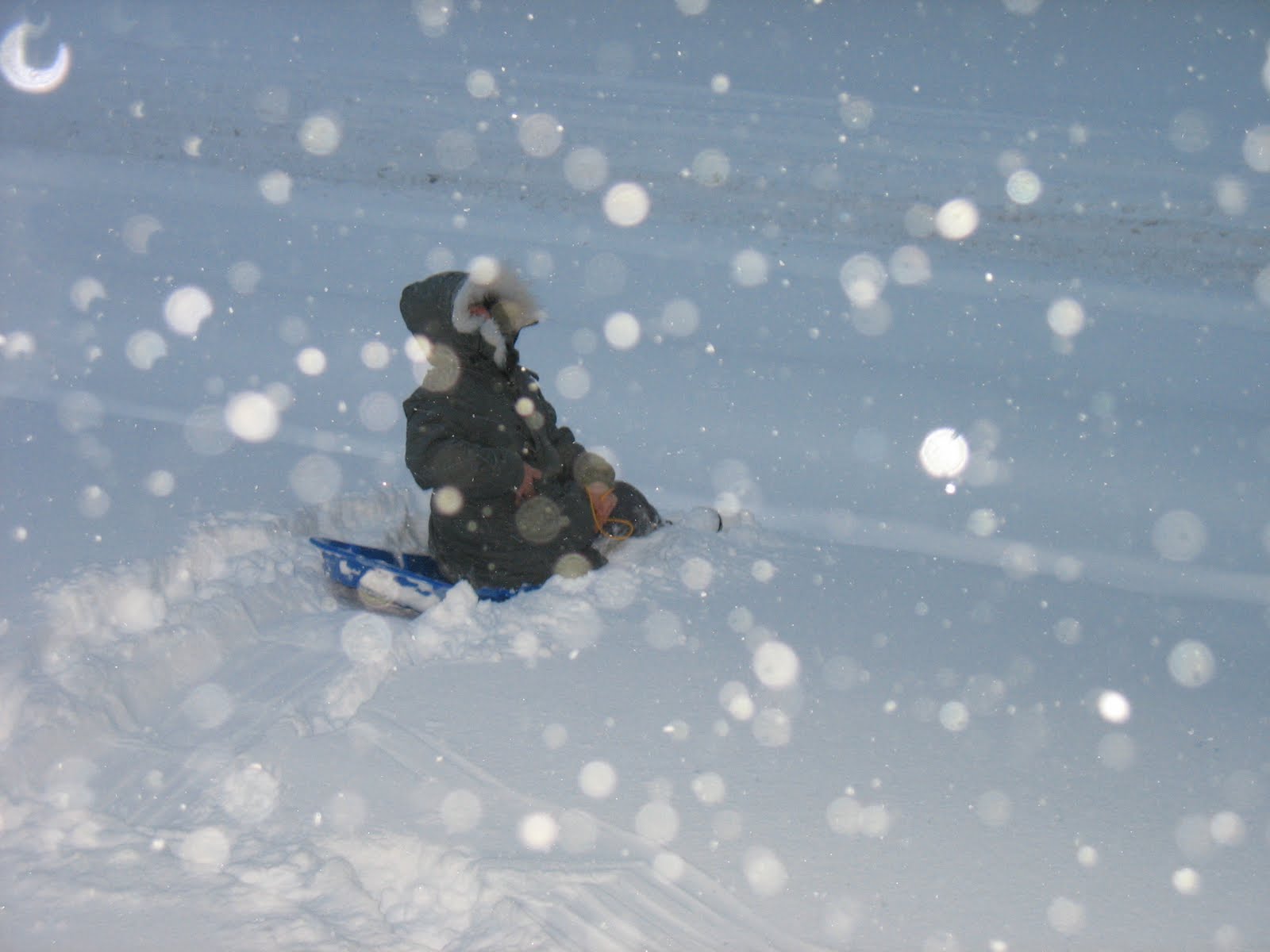 [IMG_8934.JPG]
