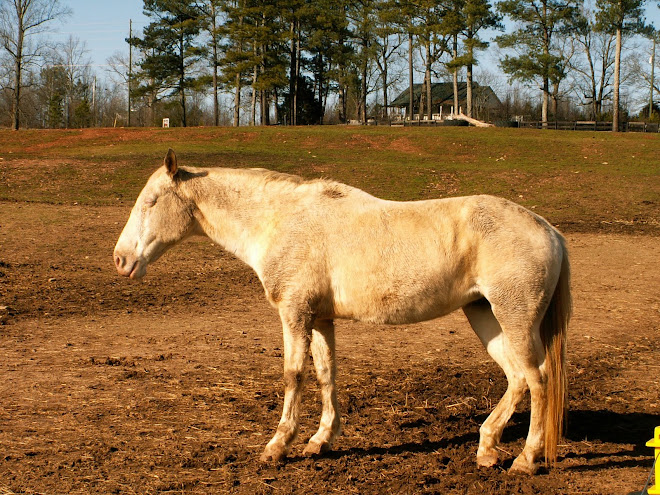 Miss Trudy....A Very Special Girl