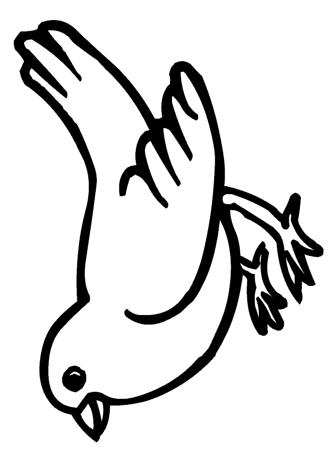 ENGLISH IS FUN: BROWN BEAR COLOURING ACTIVITIES