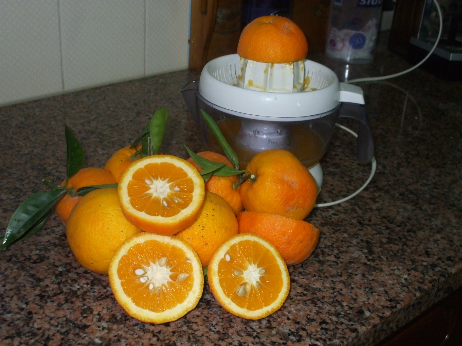 [DSCF2053.JPG]