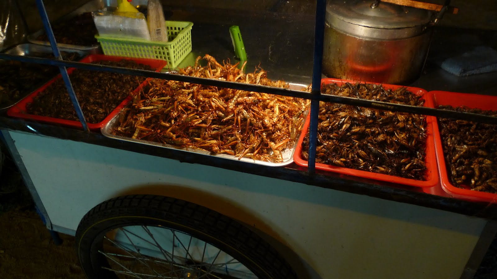 [P1000336.JPG]