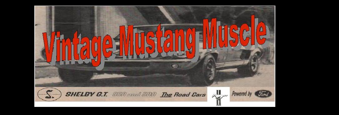 Vintage Mustang Muscle