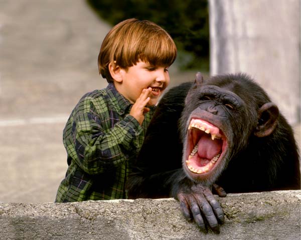 [laughing_chimp.jpg]